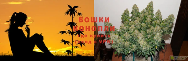 spice Абаза