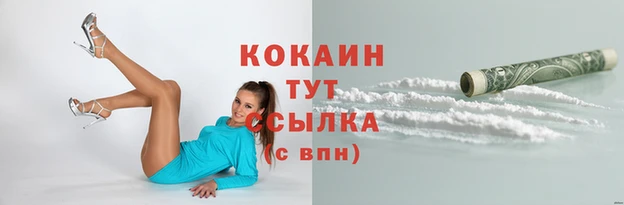 spice Абаза
