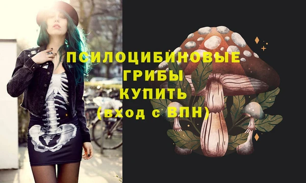 винт Абинск