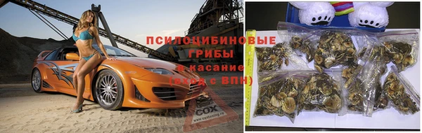 spice Абаза