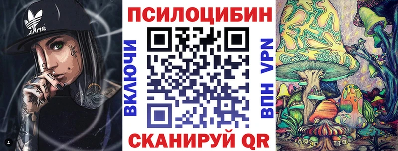 закладка  MEGA зеркало  Галлюциногенные грибы Psilocybine cubensis  Ивантеевка 