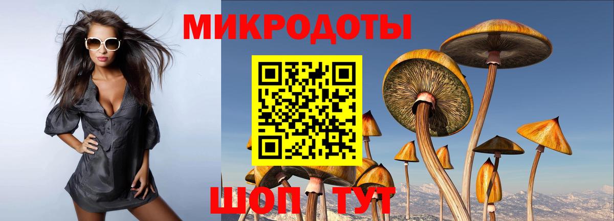 Псилоцибиновые грибы Psilocybine cubensis  дарнет шоп  Псилоцибиновые грибы Cubensis  Ивантеевка  Вход с VPN 